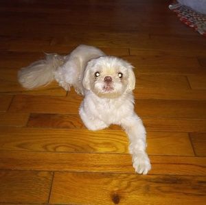 Meet your Posher, Larry